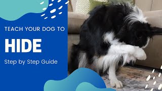 How to teach your dog to HIDE