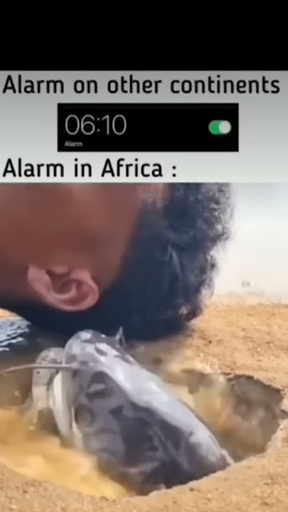memes