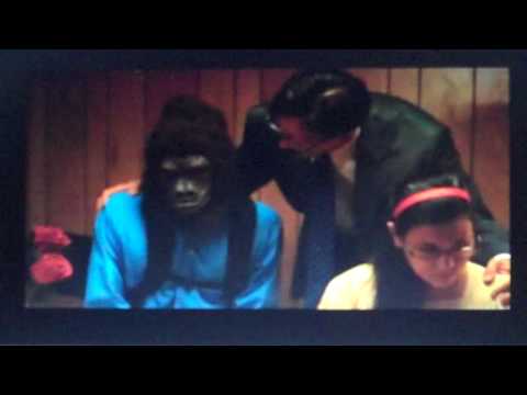 Papa Gorilla Banana Music Video