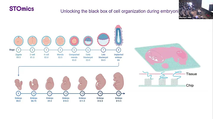 Stereopy as an Advanced Tool for Interpreting Spatial Transcriptomics Data