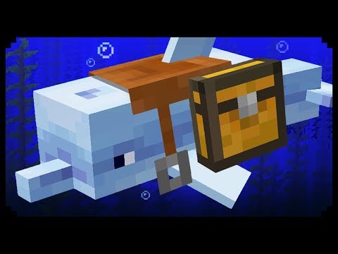 How To Find and Tame DOLPHINS in Minecraft PE (Pocket 