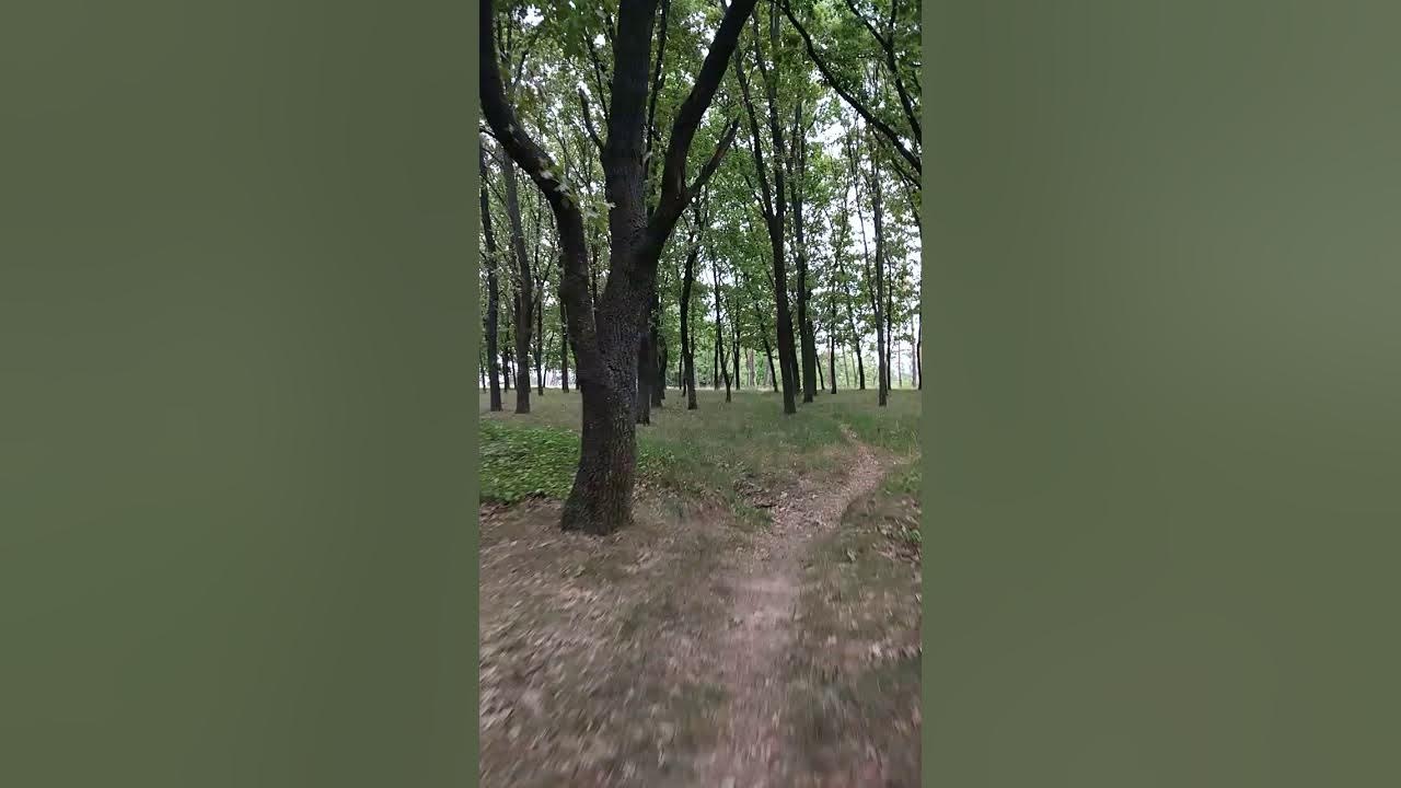 Дубки видео. Дубки выкса. Парк дубки москва. Дубки видео. Дубки пенза.