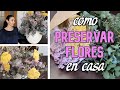 CÓMO TENER SIEMPRE FLORES EN CASA / FLORES PRESERVADAS