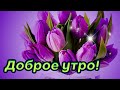 🌼🌸Доброго утра!🌷 удачного дня!🌷 музыкальное пожелание с добрым утром!🌼🌸