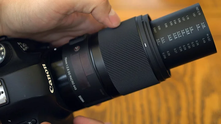 Sigma 70mm f/2.8 DG Macro 'Art' lens review with samples (Full-frame & APS-C) - DayDayNews