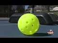 Pickleball anonymous donation