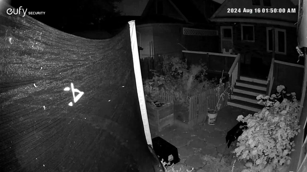 Thief in Westdale, Hamilton, ON(4th video)