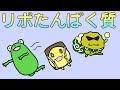 【管理栄養士】リポタンパク質