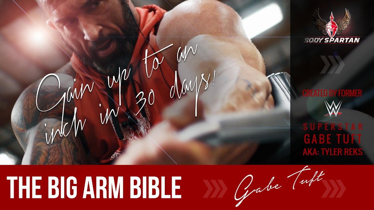 Big Arm Bible Gain Up To An Inch On Your Arms Big Arm Bible Gain Up To An Inch On Your Arms