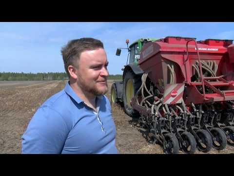 Video: Lauksaimniecības Tehnoloģijas Iezīmes Un Cigoriņu Veidi