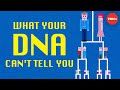 What can DNA tests really tell us about our ancestry? - Prosanta Chakrabarty