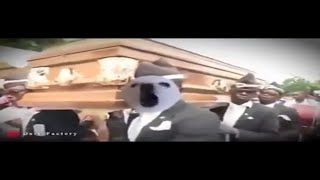 Dog Rap | Dog Rapper | Funny Dog Video 2021 | Funny Videos Of Dog