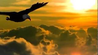 Flying Eagle Animation Series By Hoor Shumail