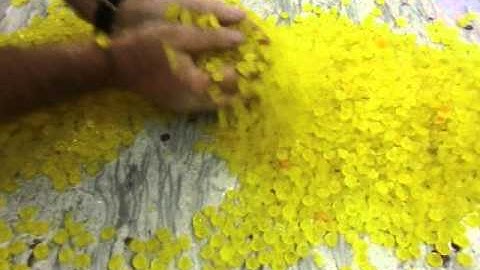 Loynds Drop Roller Drops, breaking up & sieving