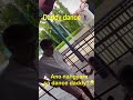 Dance Daw Sabi Mochi #bossingvic #tvj
