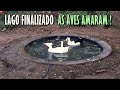 CONSTRUINDO UM LAGO PARA OS PATOS: PARTE 03 - LAGO CHEIO E PRONTO