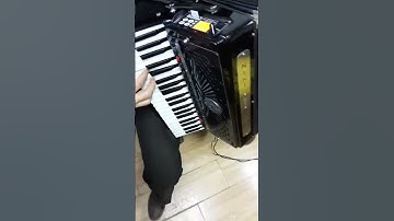 Electronic midi digital accordion (6)