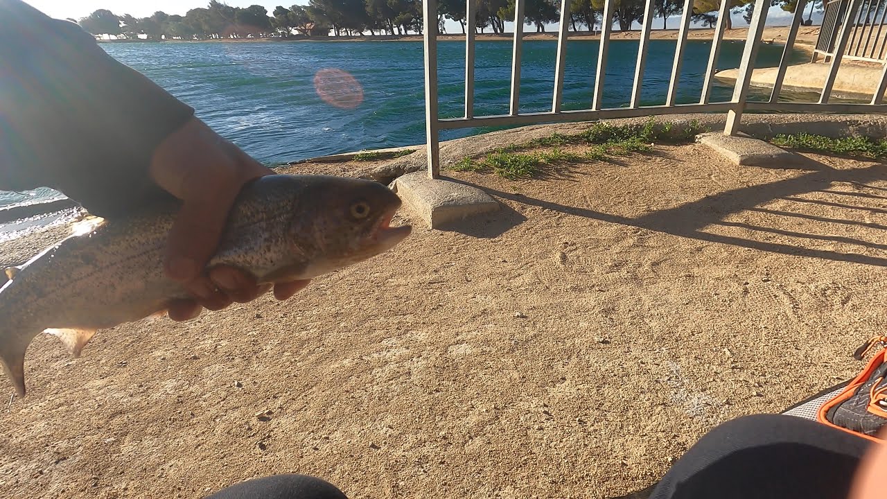 Apollo park trout fishing with the homies!