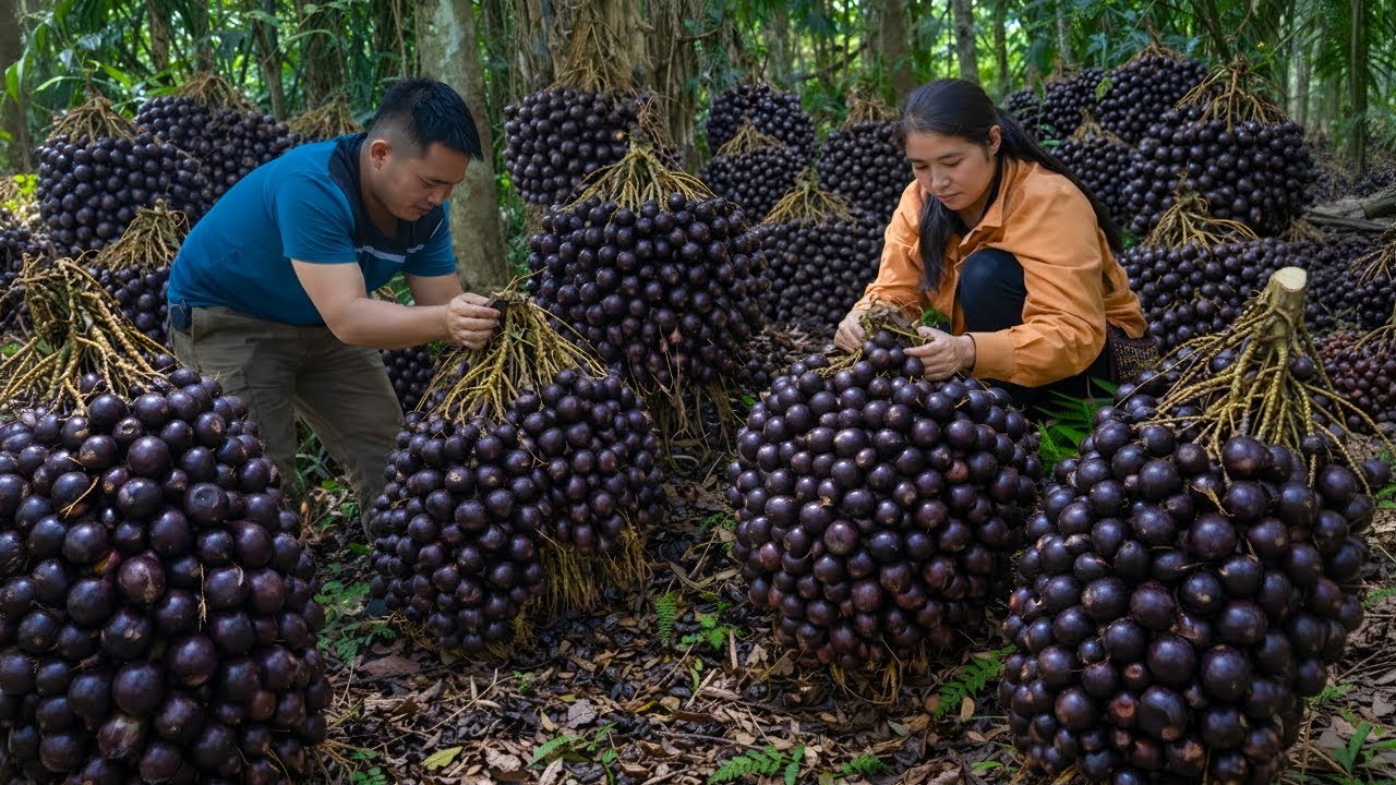 The couple harvested palm fruit and gathered banana leaves to wrap cakes to sell at the market