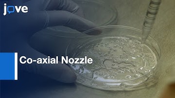 Alginate Encapsulation of PSCs Using a Co-axial Nozzle | Protocol Preview