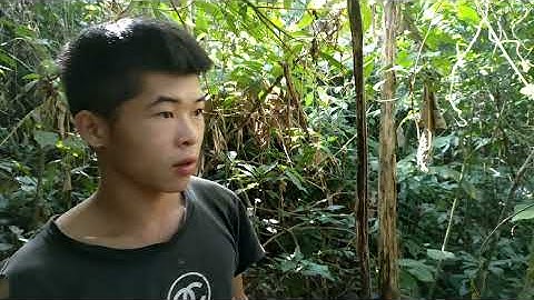 Kỹ Năng Sinh Tồn Nơi Hoang Dã - Tập 3 | Đặt Bẫy Tìm Thức Ăn Sống Sót - skills survial wildernes Ep3