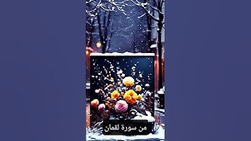 سورة لقمان بصوت القارئ عبد الرحمان المسعودي #نصيحة