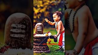 aadi aadi raat me khiche hai dam ||mahadev ke pujari WhatsApp status 2020