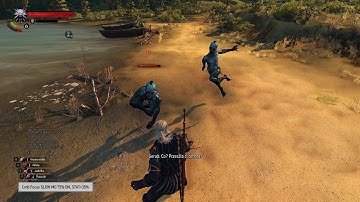 W3EE - Slow Motion combat with 2 x Drowner via Counters only