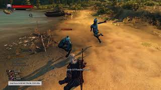 W3EE - Slow Motion combat with 2 x Drowner via Counters only
