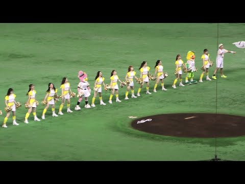 [4K]ハニーズ オープニングダンス～旅立ちの前に／WANIMA 2021.7.1