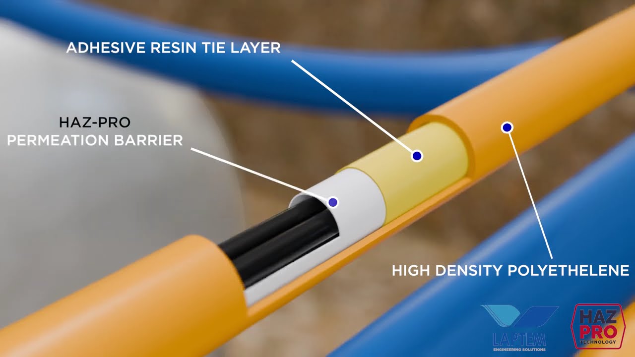 patientpop 3d health explainer-