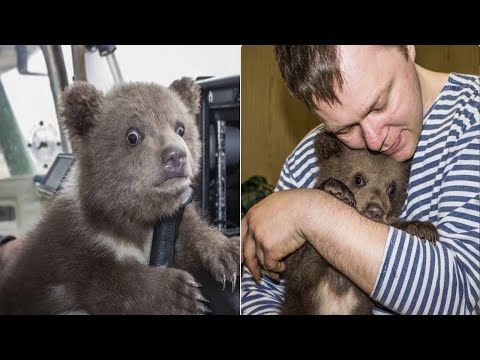 Видео: НИ ЗА ЧТО ЕГО НЕ БРОШУ!! Он мне как сын! Невероятная история дружбы Медведя и Человека