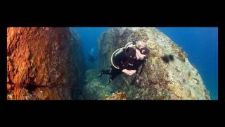 Wikipedia National Academy Of Scuba Educators