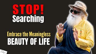 Stop Searching: Embrace the Meaningless Beauty of Life