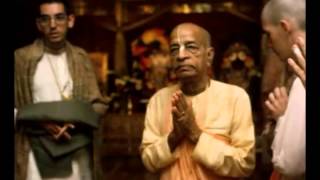 You are so many Chanting Hare Krsna. That is my Success - Prabhupada 0609
