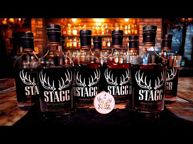 Stagg Battle! 24A vs 24B vs 24C vs 24D - Which Batch is the Best