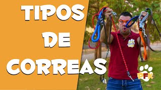 ¿QUÉ TIPO DE CORREA ELEGIR PARA MI PERRO? | PETS FAMILY KIDS