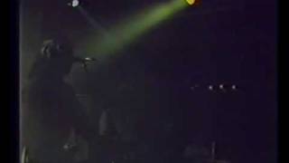 The Nubiles Make Me Feel Good