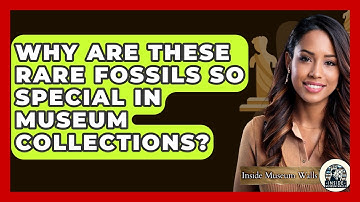 Why Are These Rare Fossils So Special In Museum Collections? - Inside Museum Walls