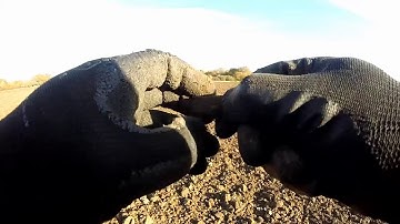 XP DEUS v CSCOPE CS1MX Testing On Same Targets & DEPTH TEST