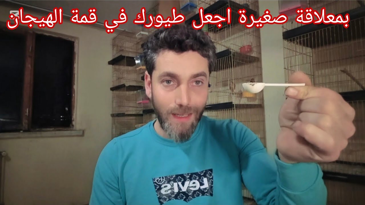 معلقة واحد ب4 غرام جهز طيورك باسرع طريقة موسم 2026 