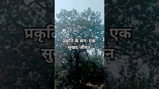 Bago me jhhule bad gy 🥭🥭#ytshorts #youtubeshorts