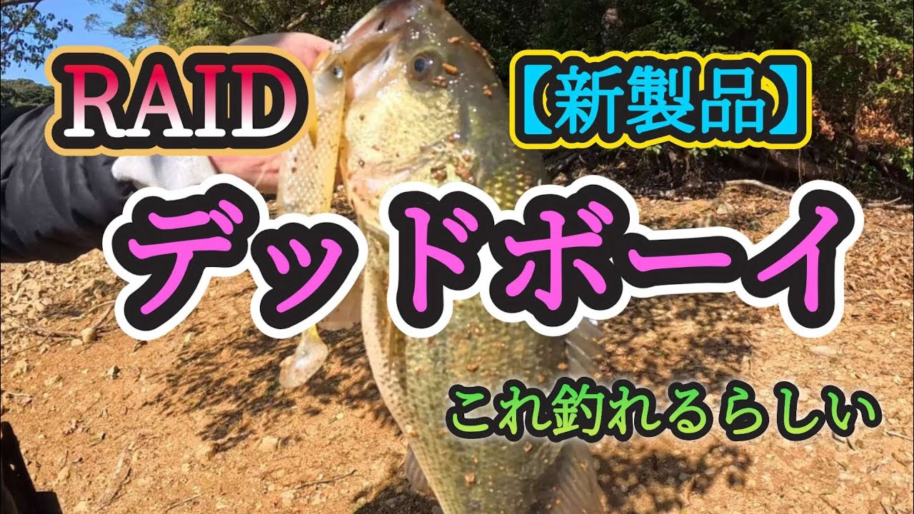 Deadboy] Apparently you can catch RAID's Deadboy 😁 - YouTube