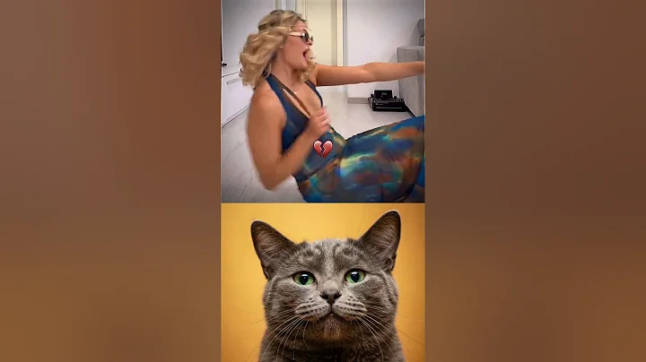 Video 10022431: funny male cat