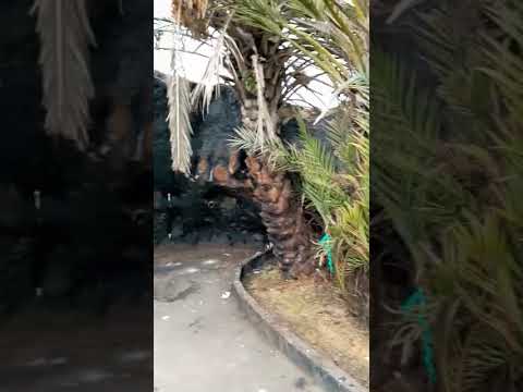 محكمة الباشا حمو الوزارة مالين الكرنة