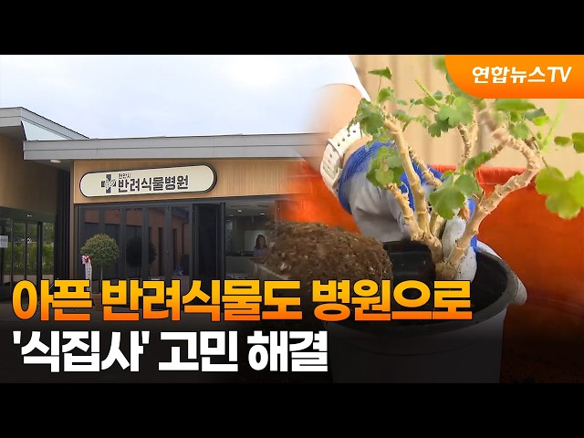 아픈 반려식물도 병원으로…‘식집사’ 고민 해결 / 연합뉴스TV (YonhapnewsTV)