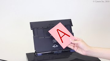 Loading paper: rear tray (TS8200 series)