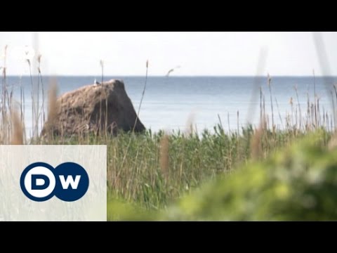 Video: Was gibt es in Estland zu sehen