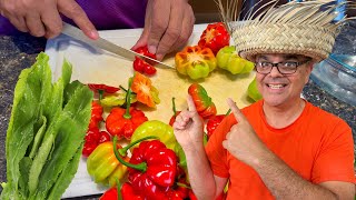 Make Sofrito (Recaito) The Puerto Rican Way !!!