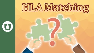 HLA Matching in Allogenic Transplants : Why It Matters?  (Human leukocyte antigens)